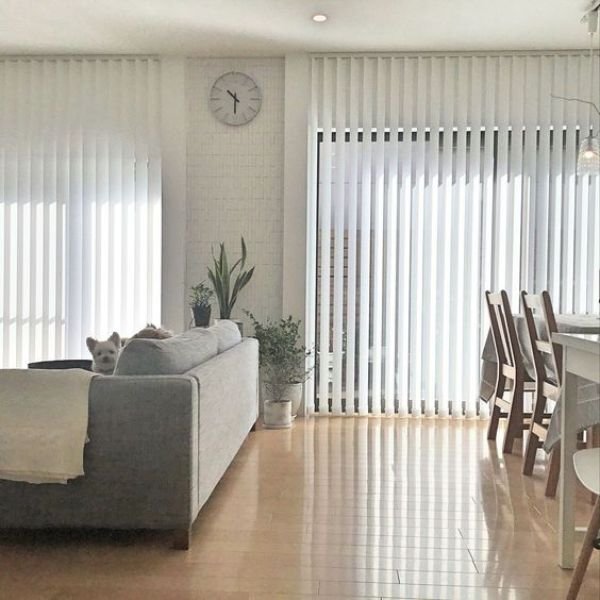 vertical blinds dubai near me in UAE